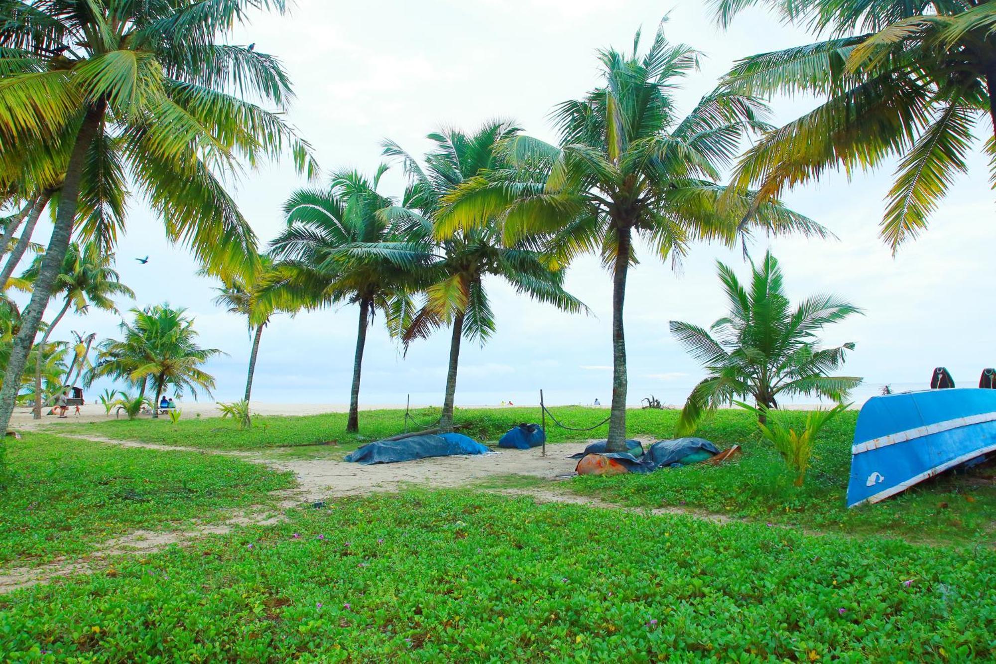 Marari Nest Beach Homestay Mararikulam Exteriér fotografie